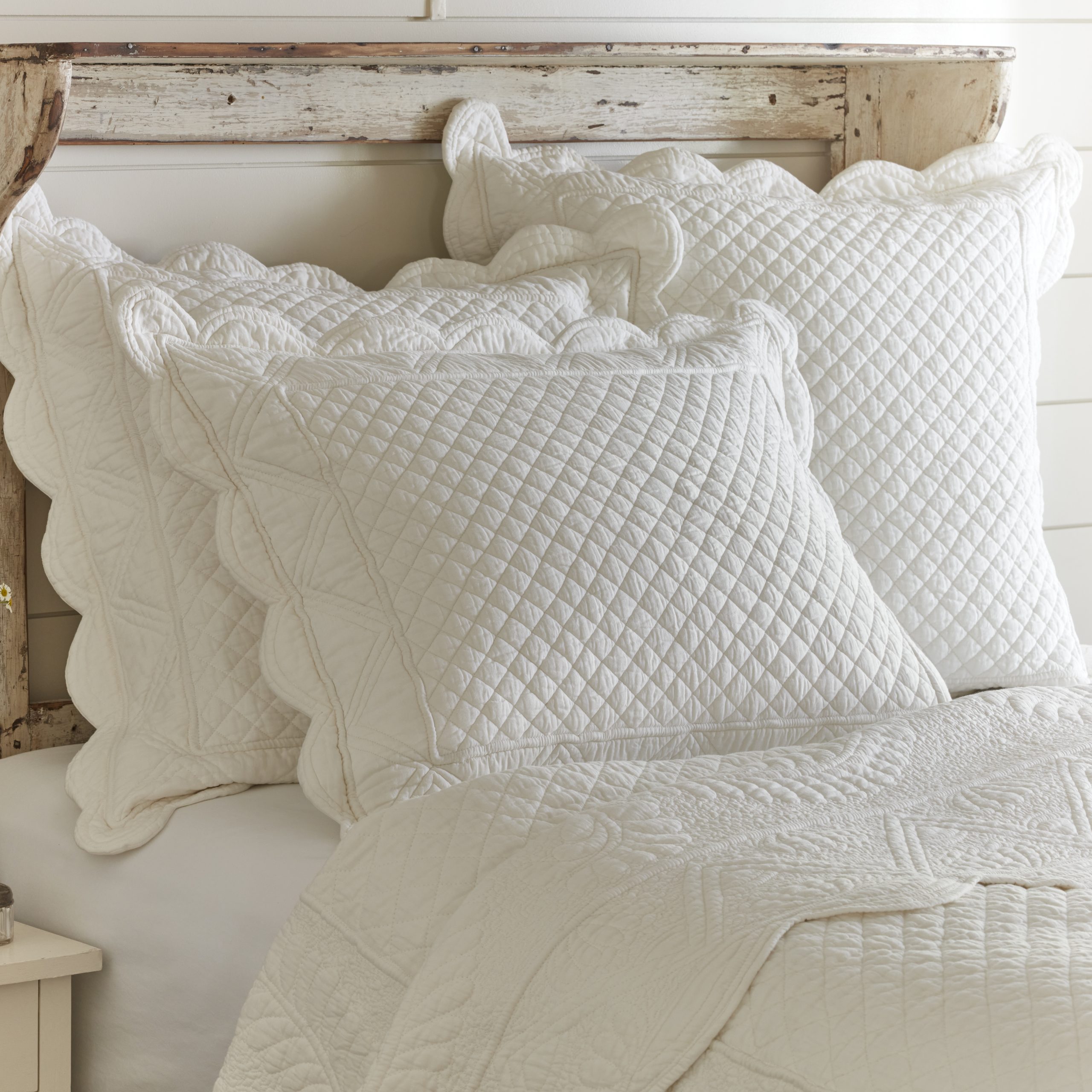 The Pillow Collection Delyth Floral Bedding Sham Vanilla Queen/20 x 30 