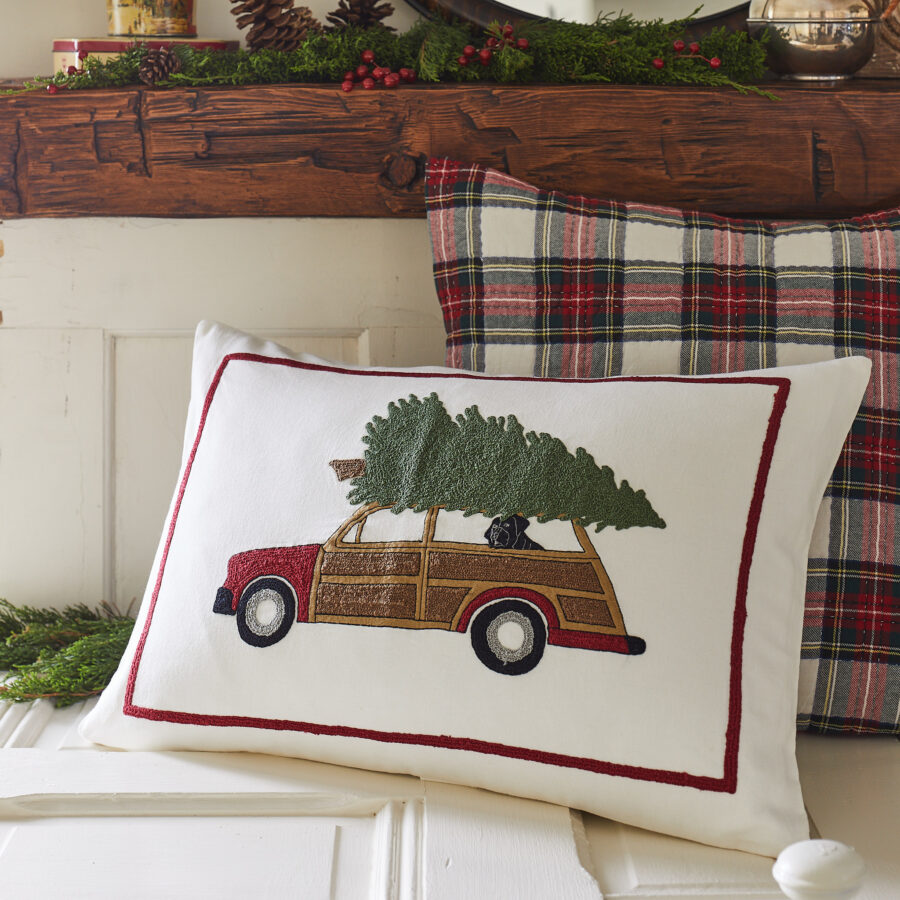 Christmas Woody car tree dog pillow