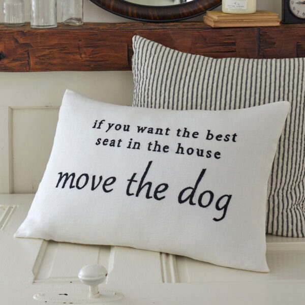 If you want the best seat in the house move the dog pillow